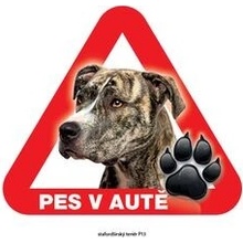 Grel nálepka na plech pozor pes v autě stafordširský teriér