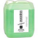 Subrina březový šampon pro všechny typy vlasů 5000 ml