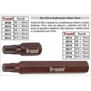 Triumf 100-00311