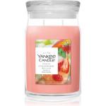 Yankee Candle White Strawberry Bellini ароматна свещ 567 гр