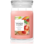 Yankee Candle White Strawberry Bellini ароматна свещ 567 гр