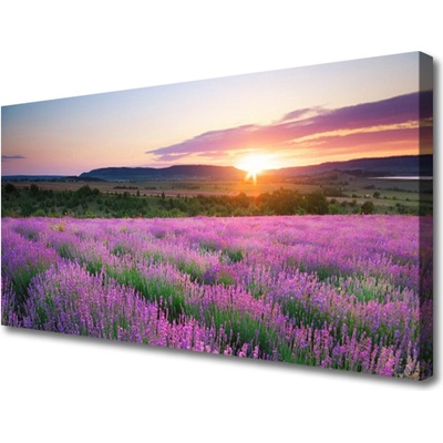 Obraz Canvas Levanduľa pole lúka západ 100x50 cm