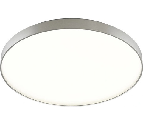 Rendl R12119