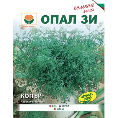 Opal Zi Копър Anethum graveolens