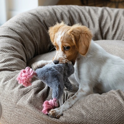 HOLLAND ANIMAL Králíček BUNNY CRUNCHY ROPE s levandulí 25 cm
