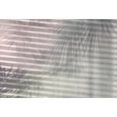 Komar Vliesová fototapeta Shades rozměry 368 x 248 cm