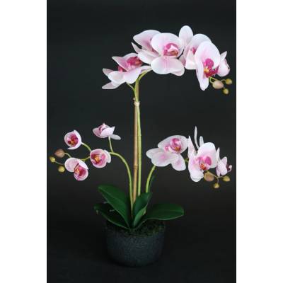 ILA Umělá rostlina Orchidej Phalaenopsis (50cm) - růžová