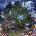 100 Gecs - 1000 Gecs And The Tree Of Clues (LP) (075678649691)