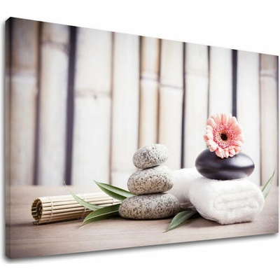 Obraz na plátne FENG SHUI_053-11 - 20x30 cm