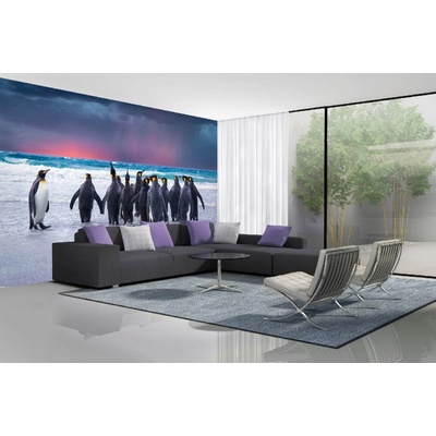 Dimex MA-5-0478 Samolepicí vliesová fototapeta na zeď Tučňáci na Falklandech rozměry 375 x 250 cm
