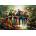 Art Puzzle - Puzzle Tropical Paradise - 500 piese