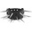 LSF1 Sharp Spike 109