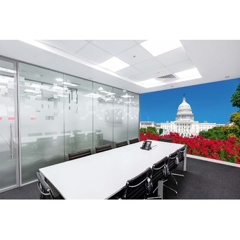 DIMEX ART s. r. o Самозалепваща се флизелинова фототапета капитолий с цветя 375 x 250 см