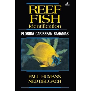 Reef Fish Identification | Ned DeLoach (ISBN: 9781878348579)