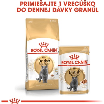 Royal Canin British Shorhair Adult 12 x 85 g