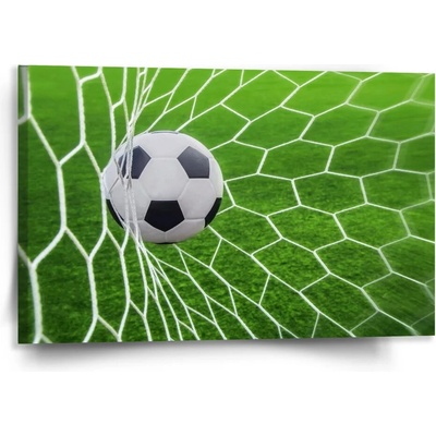 Sablio Obraz Fotbalový míč v bráně Varianta: 110x50cm
