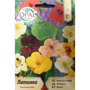 Opal Zi Латинка увивна смес