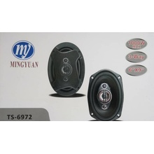 BST TS-6972
