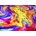 Enjoy - Puzzle Rainbow Marble - 1 000 piese
