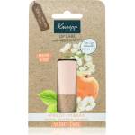Kneipp Apricot & Marula балсам за устни 4.7 гр