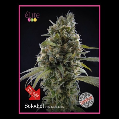 Élite Seeds Solodiol CBD semena neobsahuji THC 50 ks