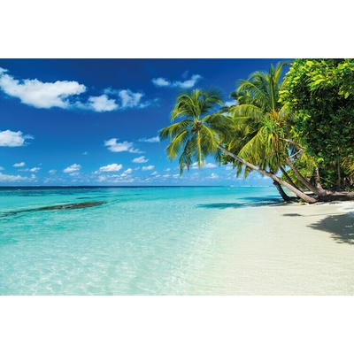 Plagát, Obraz - Exotic Vacation - Palm, 91.5 × 61 cm