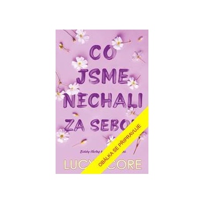 Co jsme nechali za sebou - Lucy Score