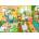 Pieces & Peace - Puzzle Home is Where the Cats are - 1 000 piese