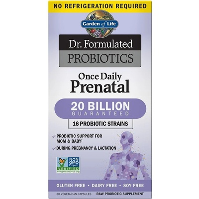 Garden of Life Dr. Formulated Vegan Prenatal DHA 30 softgels
