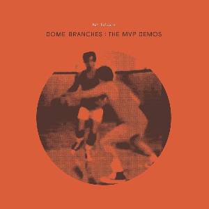 Nat Baldwin - Dome Branches: Mvp Demos (LP) (0656605464510)