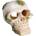 Flamingo skull - Декорация за аквариуми във форма на череп, 6, 5 x 8 x 6, 5 см