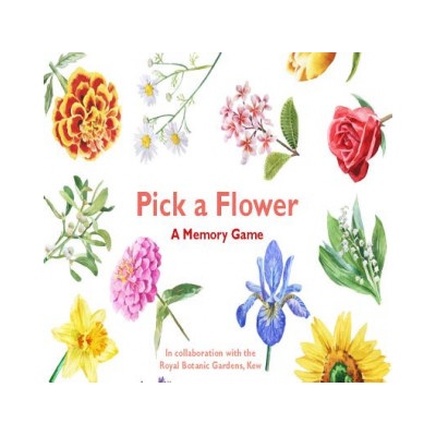 Pick a Flower: A Memory Game | Anna Day, Marcel George