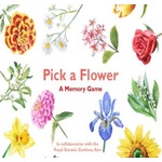 Laurence king pub Pick a Flower: A Memory Game | Anna Day, Marcel George
