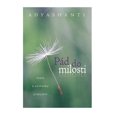 Pád do milosti Cesta k vnitřnímu probuzení - Adyshanti