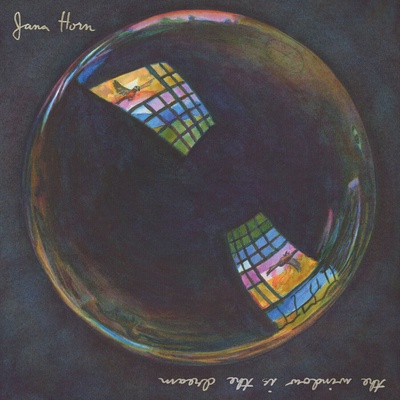 Jana Horn - The Window Is The Dream (LP) (0843563156391)