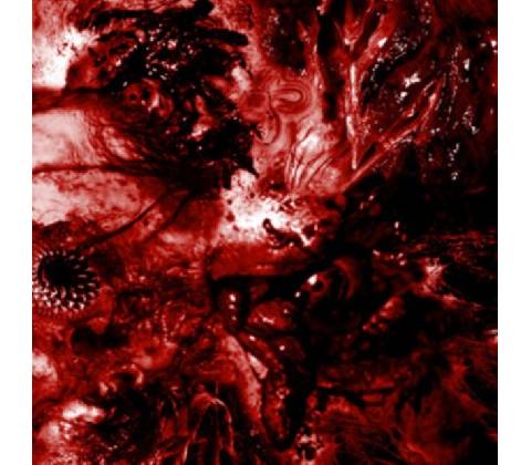 Inescapable anatomical deterioration - Excrescence CD