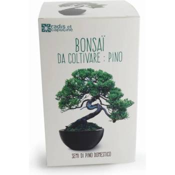 Image 1 of Radis et Capucine Бонзай в черна саксия - комплект за отглеждане (41548)