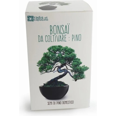 Radis et Capucine Бонзай в черна саксия - комплект за отглеждане (41548)