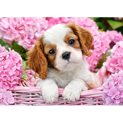 - Puzzle Puppy in pink flowers II - 180 piese