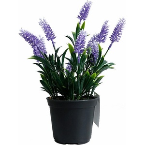  Изкуствен бонсай 30см kВ-024Р (3509611)