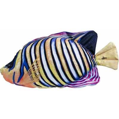 Gaby Vankúš Pomec azúrový pomacanthus semicirculatus 56 cm