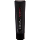 Sebastian Penetraitt Shampoo 1000 ml