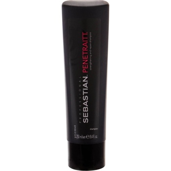 Sebastian Penetraitt Shampoo 1000 ml