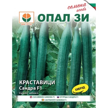 Image 1 of Opal Zi Краставици Сандра f1