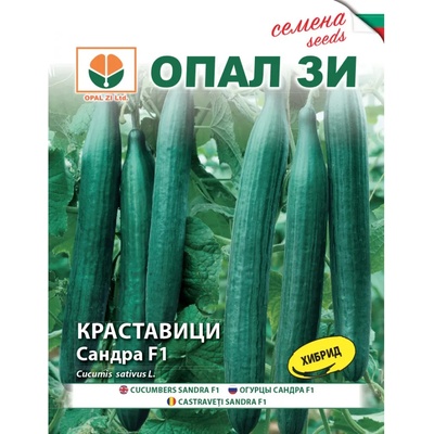 Opal Zi Краставици Сандра f1