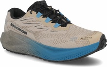 Salomon aero blaze 4 Gravel GTX šedé modré černé