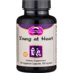 Dragon Herbs В подкрепа на кръвообращението и сърдечната функция- Young at Heart, 100 капсули (001481 (148) DH)