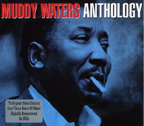 WATERS MUDDY: ANTHOLOGY CD