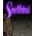 Spellbind