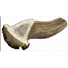 Chew Jelení paroh gigant 180-230 g